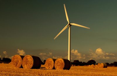 Andrew Bayliff Photo Gallery 1 Autumn hay stacks near Great Orton
